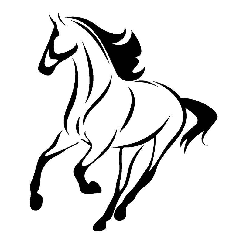 Pferd Schwarz