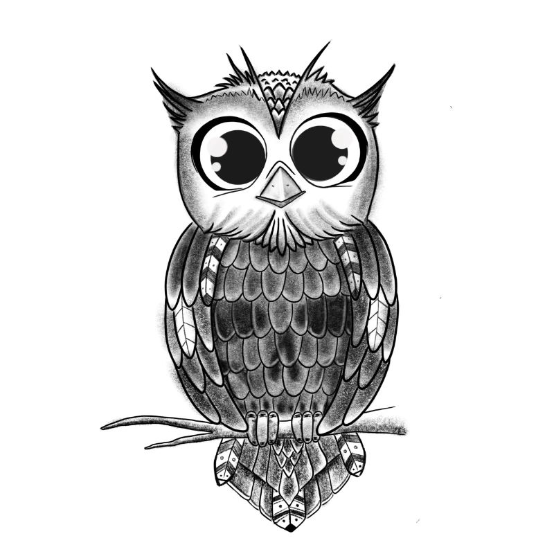 owl