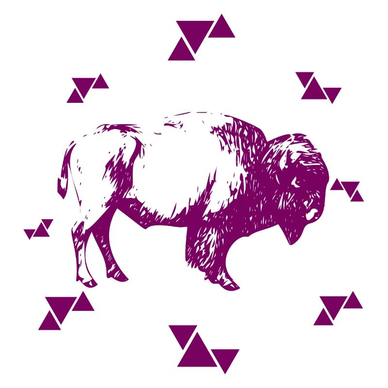 Bison - Büffel