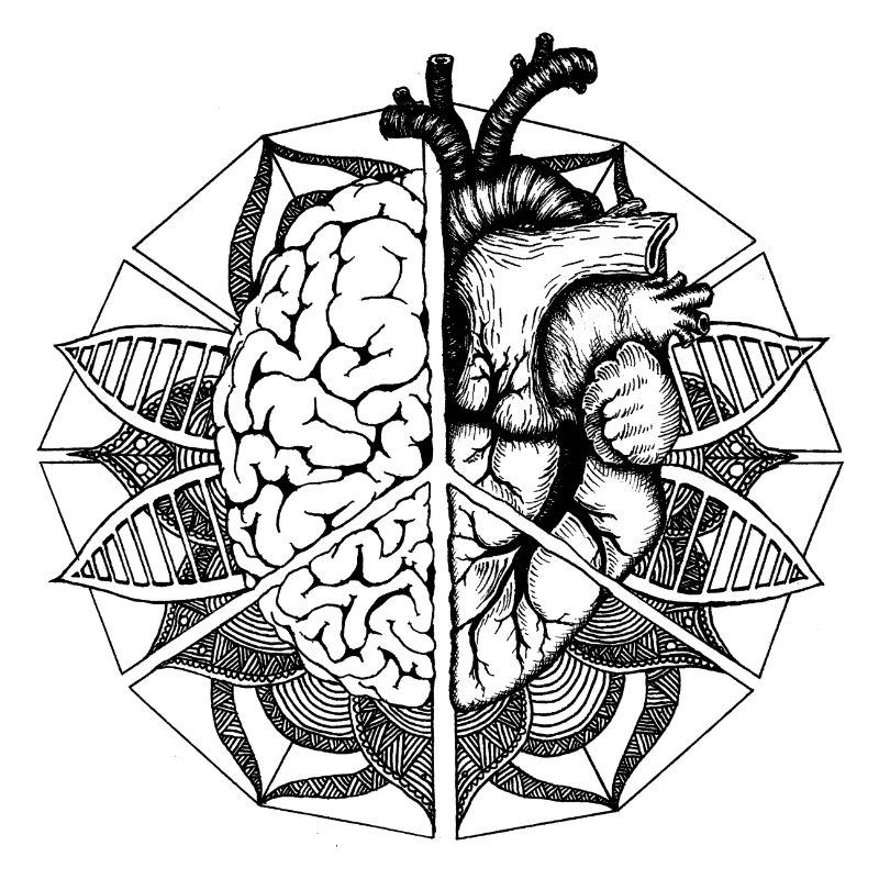 peace, brain & heart