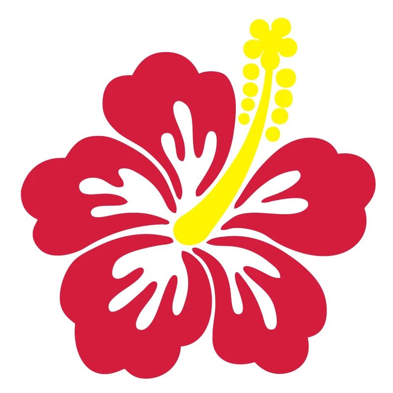 hibiscus tahiti