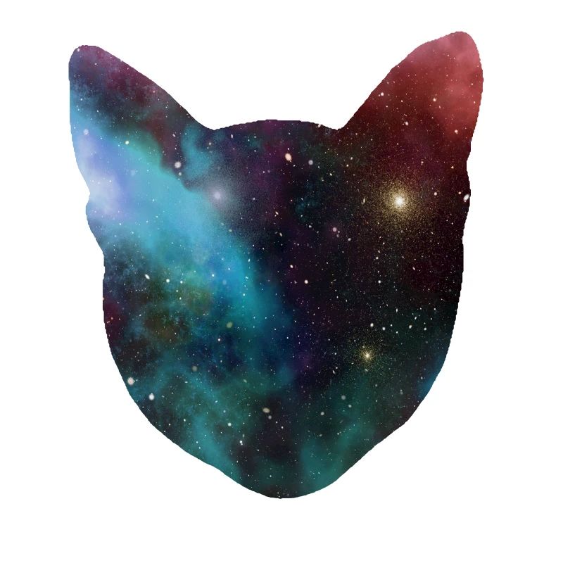 chat de l'espace cadeau de chat de l'espace