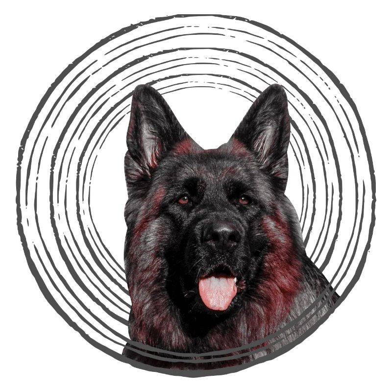 German shepherd
