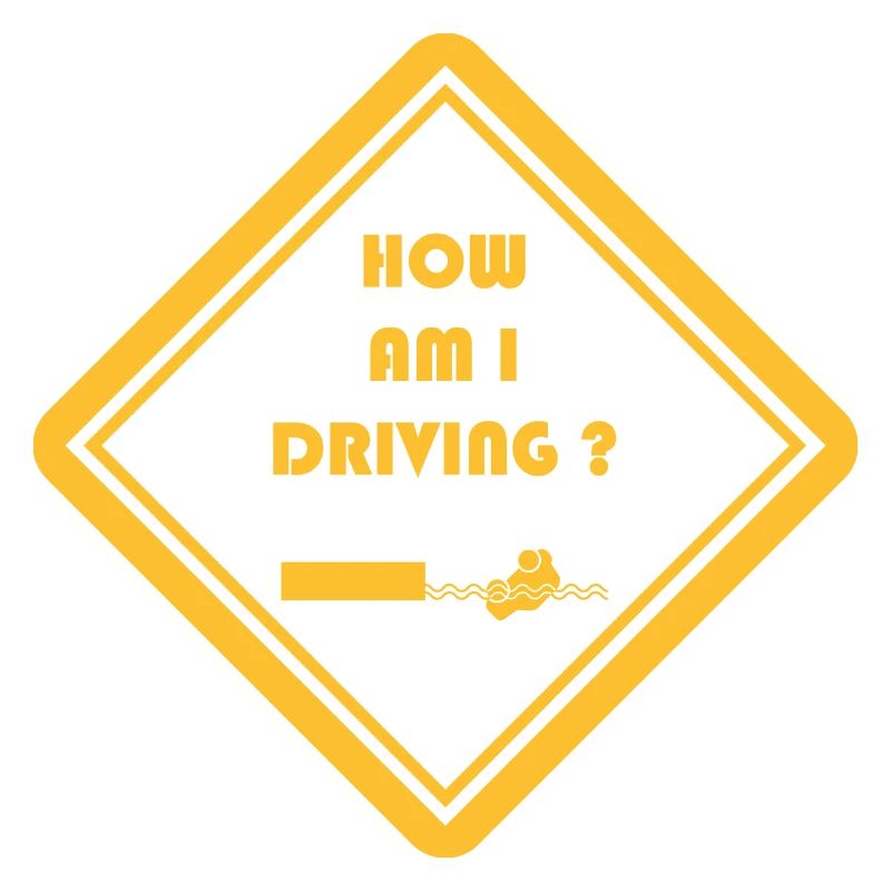 ¿Como estoy conduciendo?