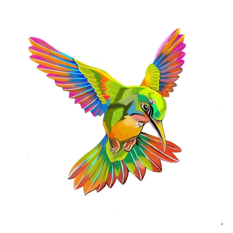 T-Shirt Kolibris