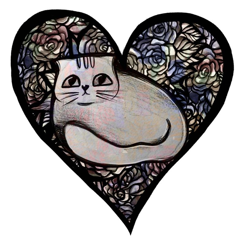 Weiße Kätzchenkatze