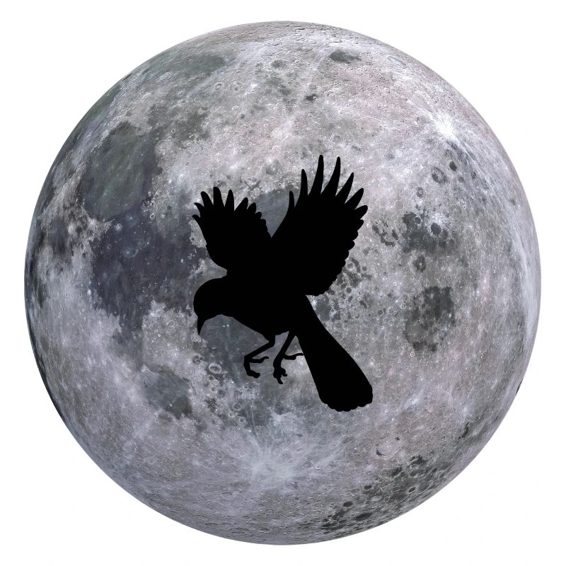 birdsky