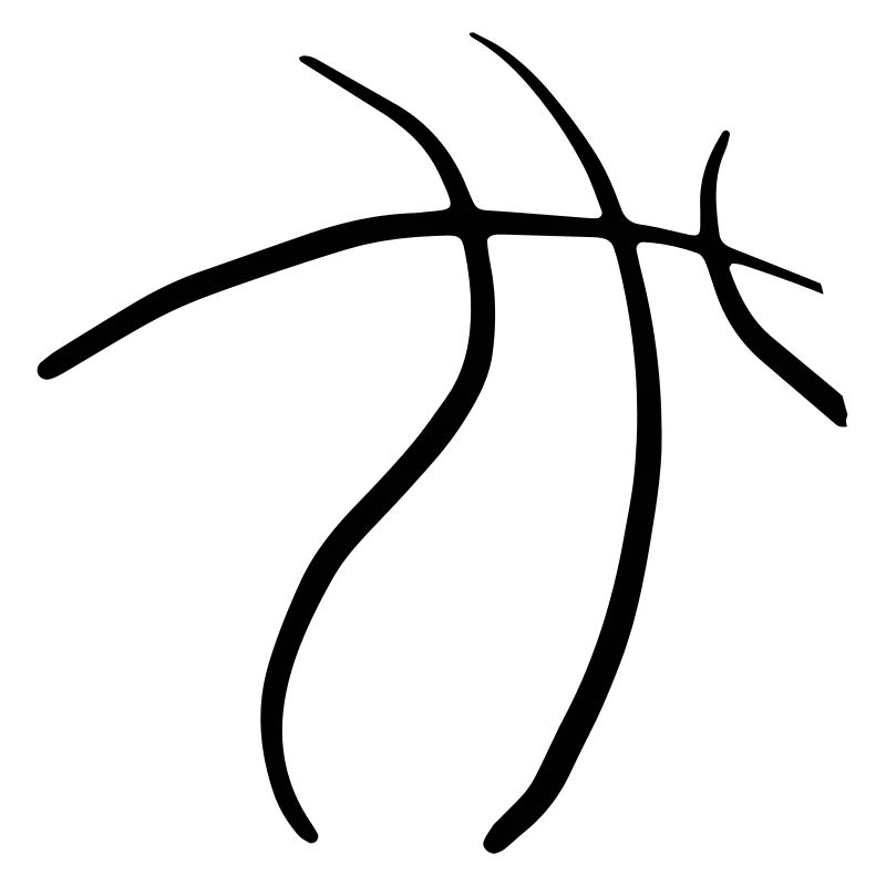Basketball 47