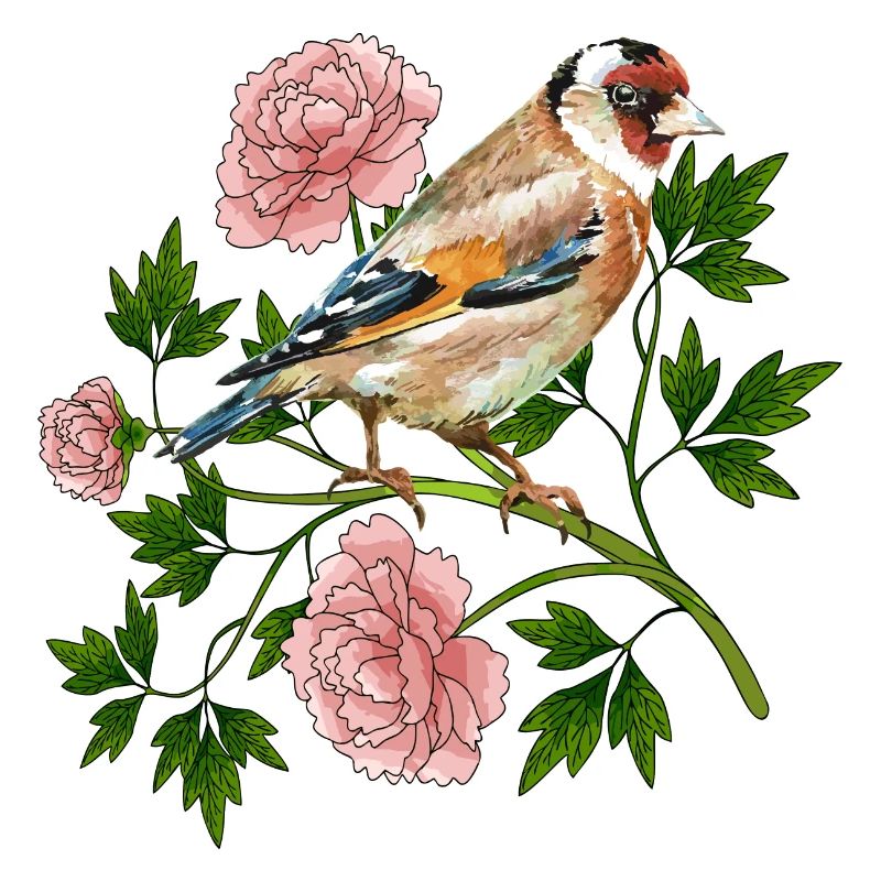 Bunter Vogel