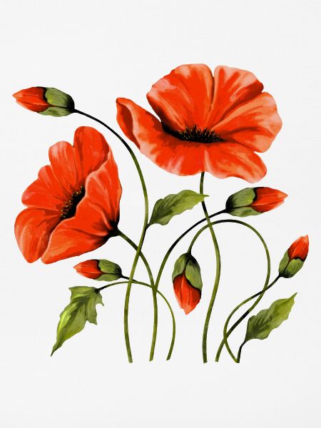 Blumen