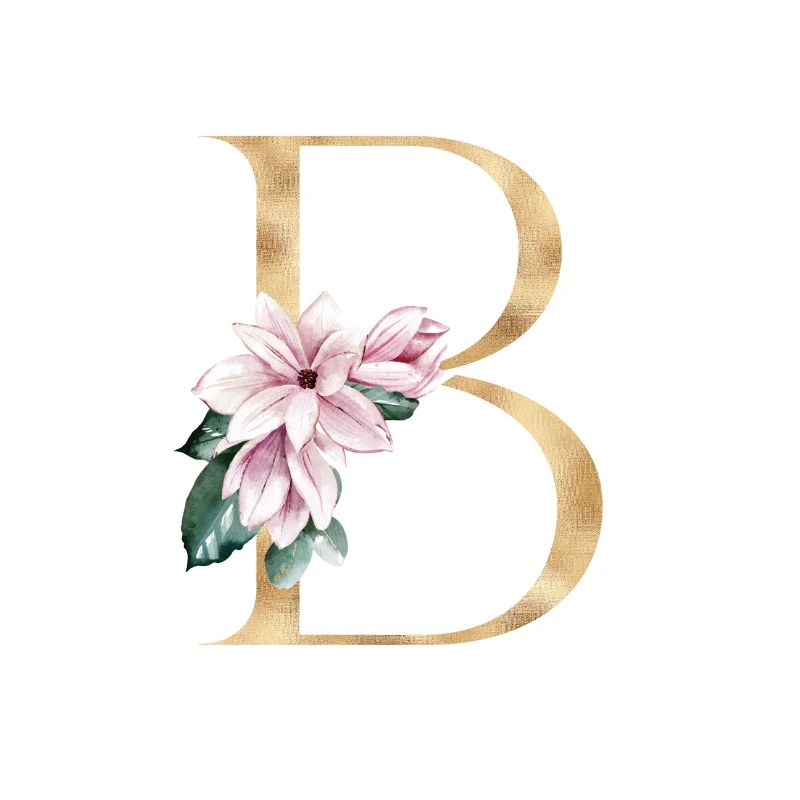 Alphabet B
