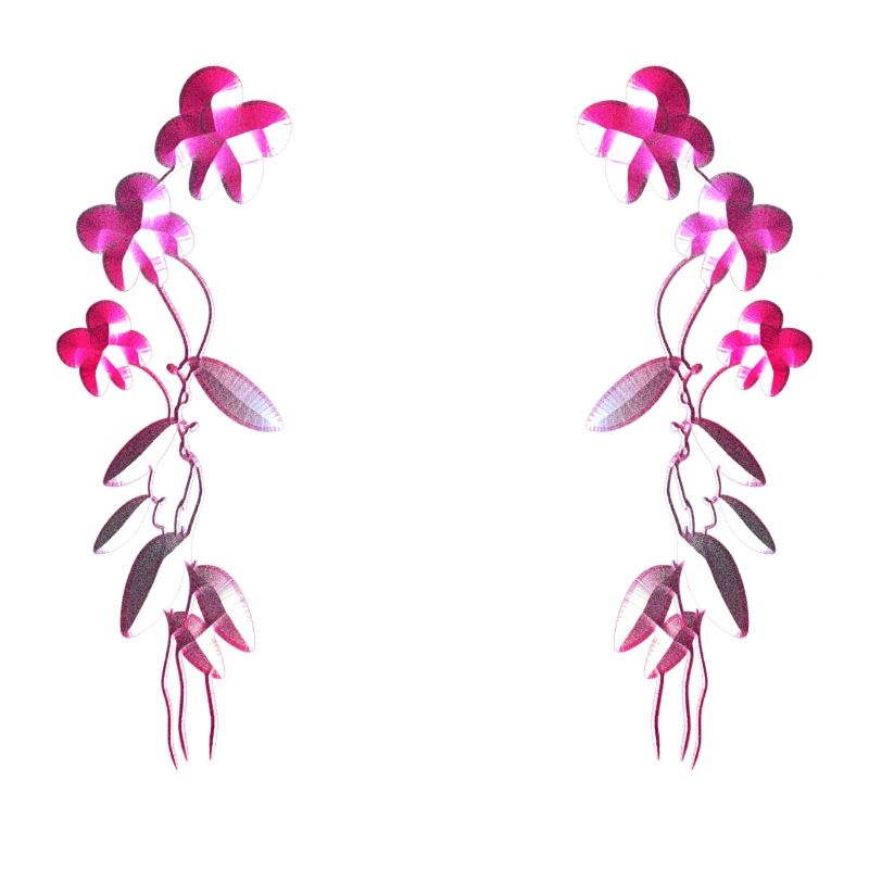 pink flowers flowers pattern
