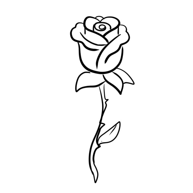 Plante symbole en forme de fleur