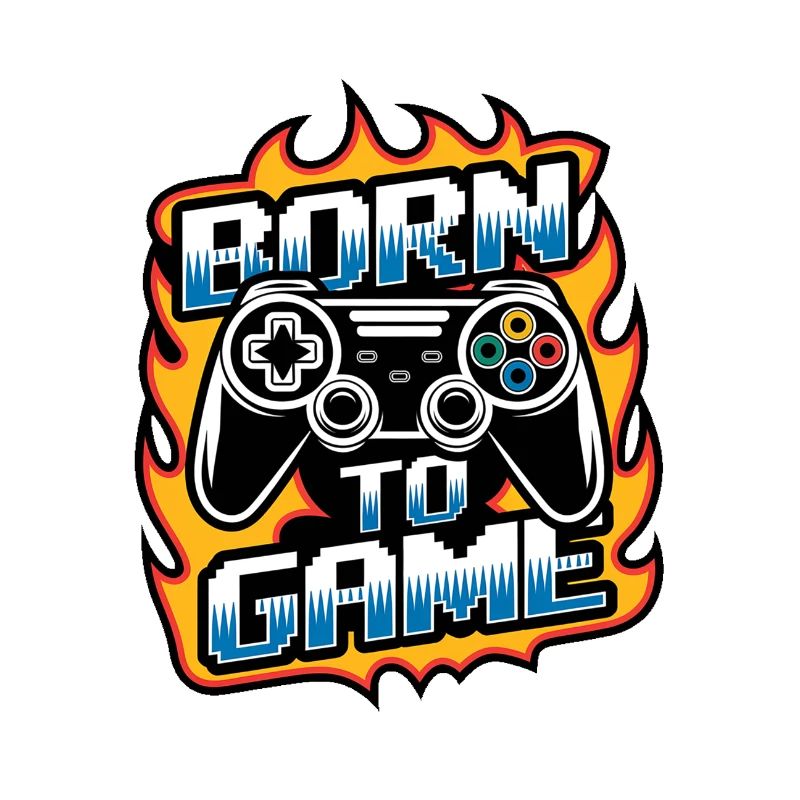 Born to Game – Gaming Controller