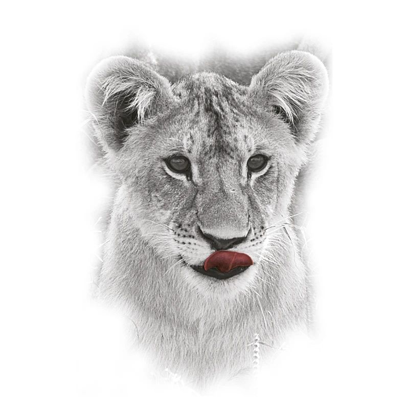 Löwenkopf