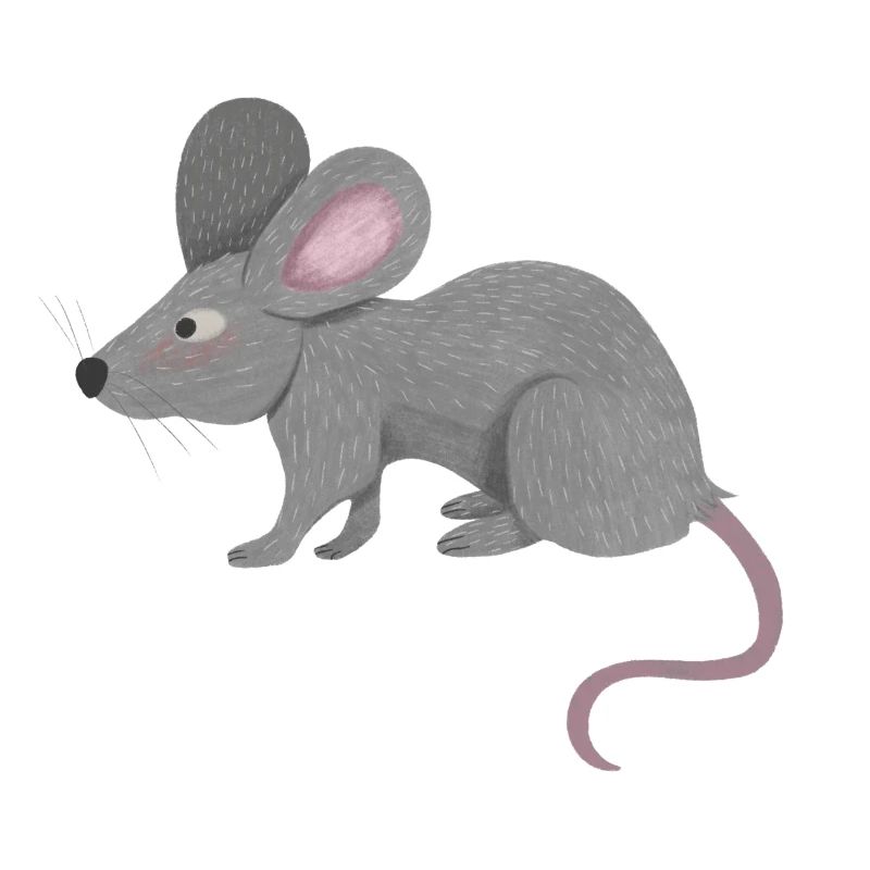 kleine Ratte