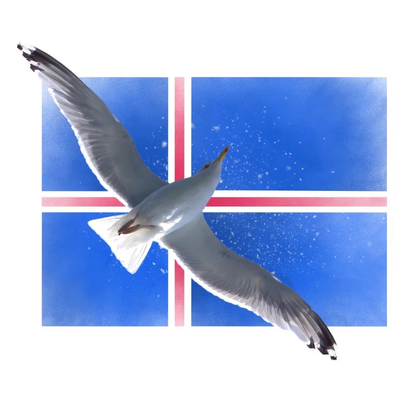 Iseland Möwe