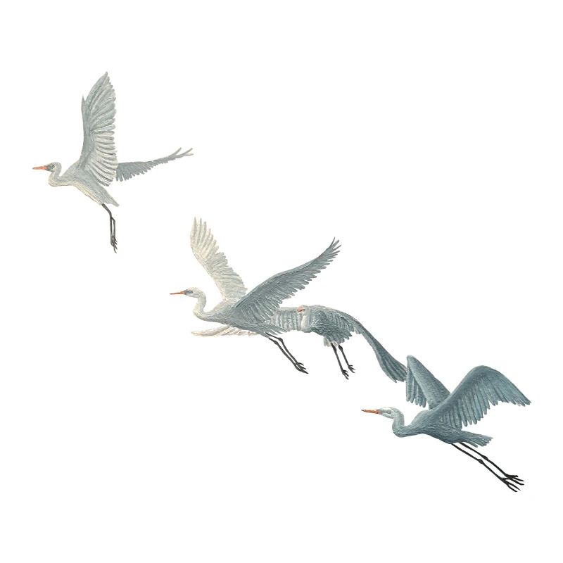 Silberreiher Schwarm Illustration