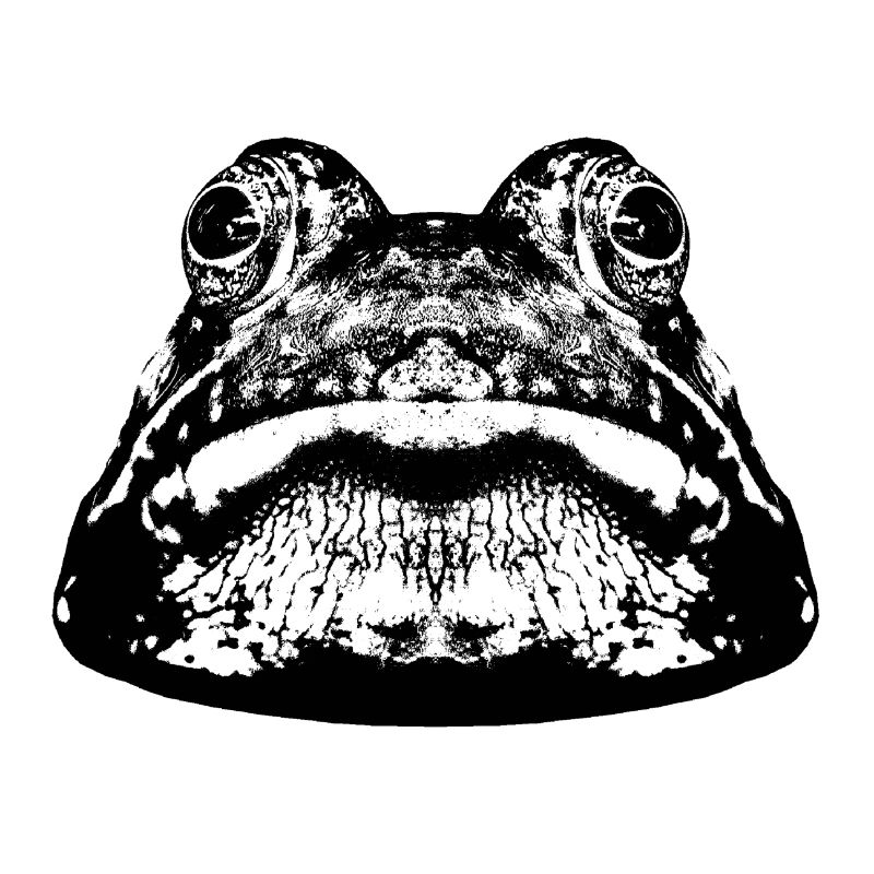 Frosch / Frog / Grafik