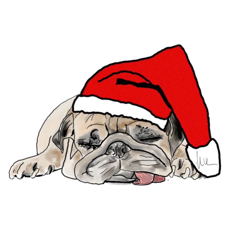 Mops Weihnachten