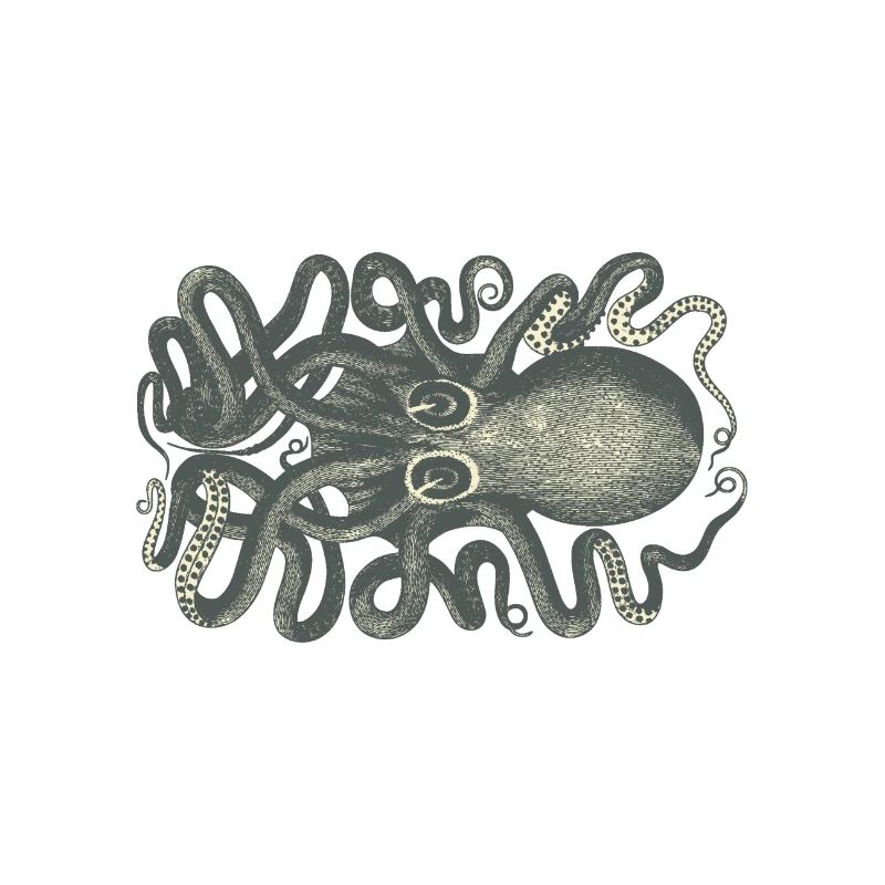 Oktopus