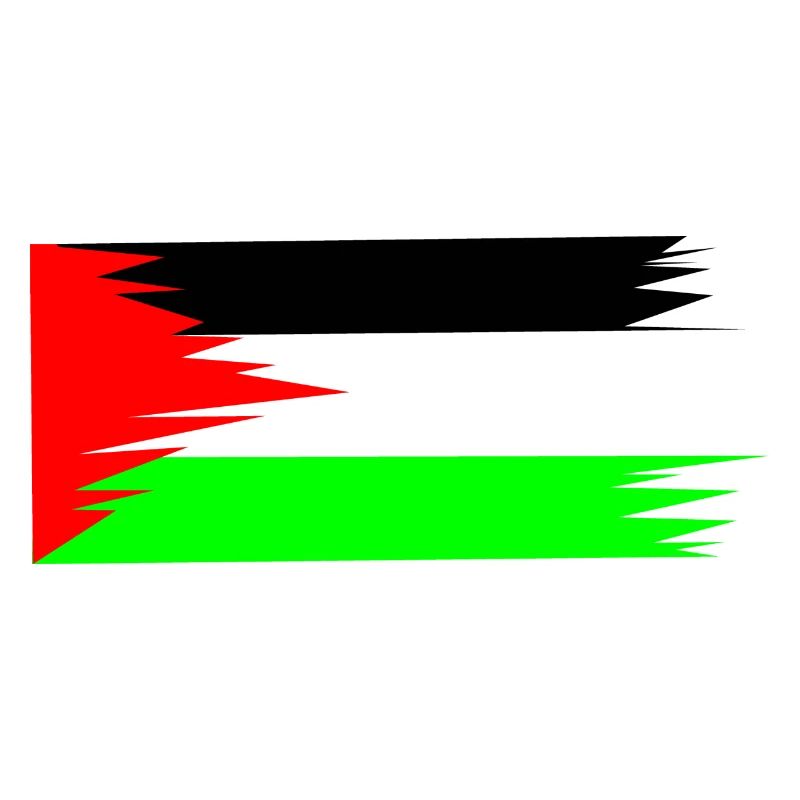 Palestine Flag
