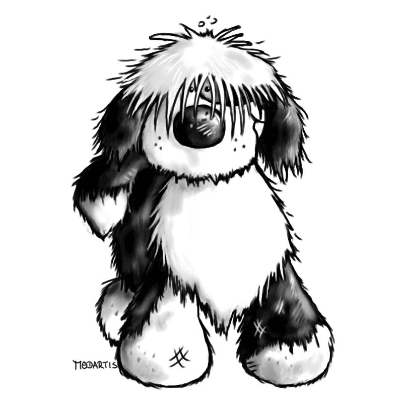 Tibet Terrier - Hund