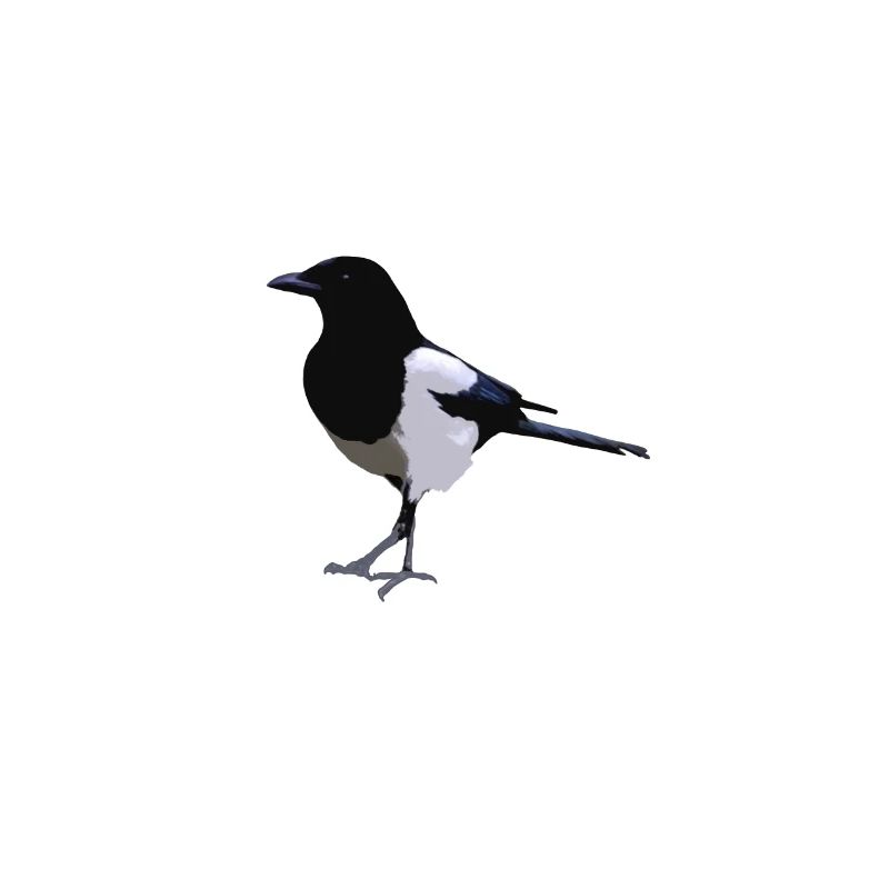 Elster