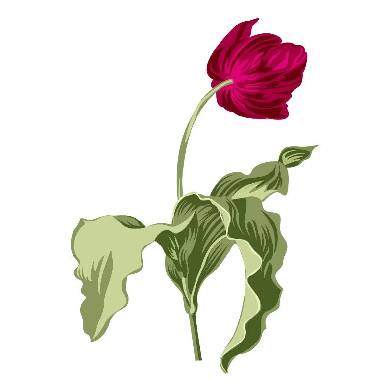 Elegante Tulpe-Illustration