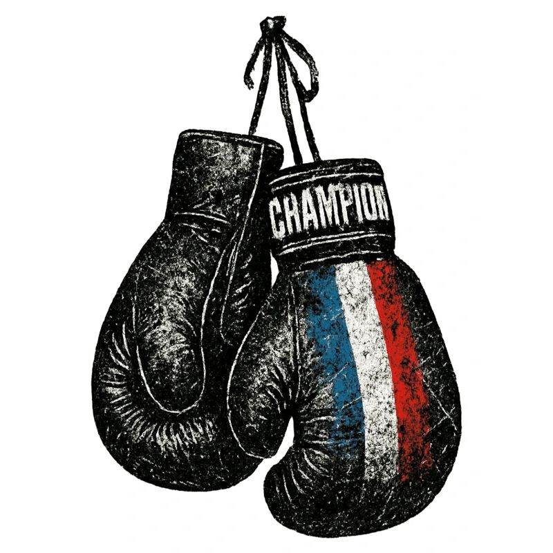 France Patriote - Boxhandschuhe