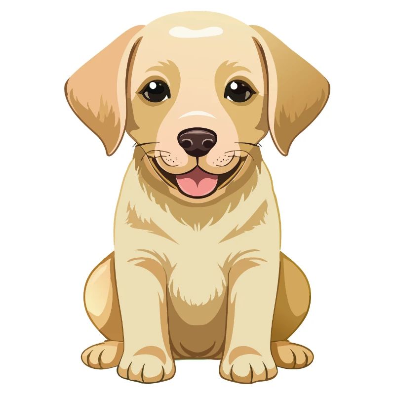 süßer Labrador Retriever