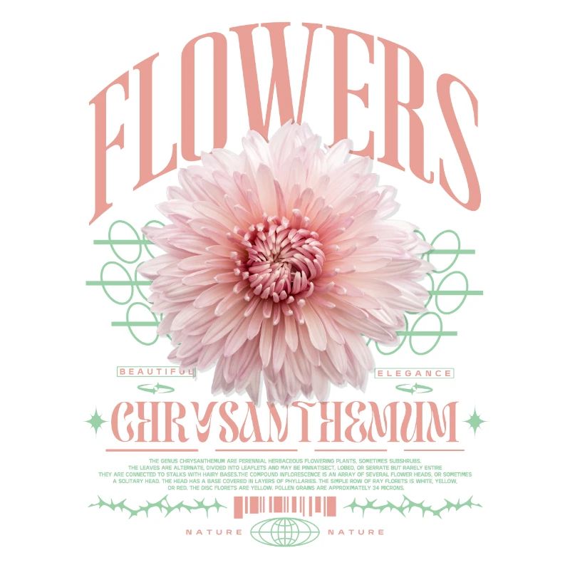 Chrysantheme Chrysanthemen
