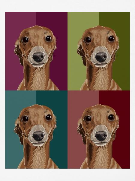 Greyhound4Colours