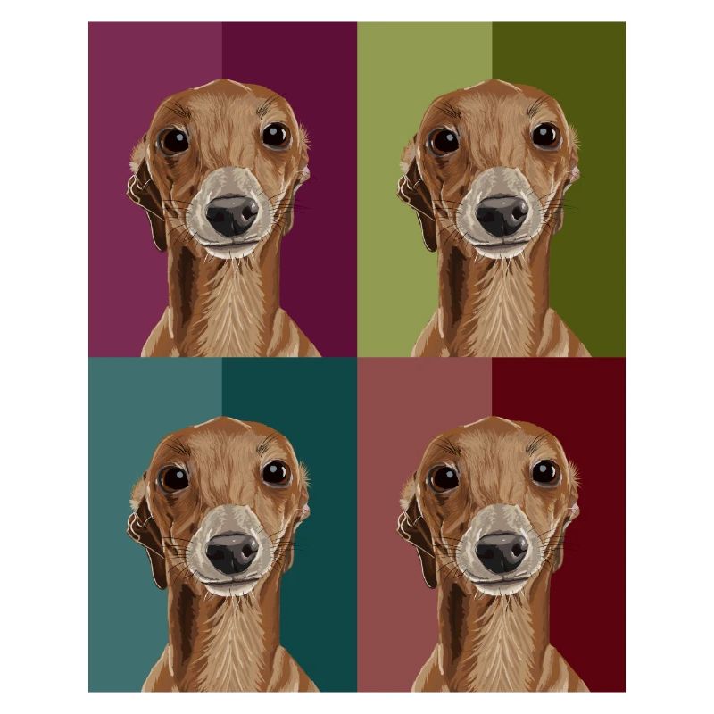 Greyhound4Colours
