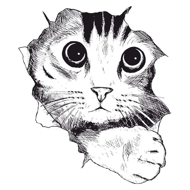 Katze gezeichnet