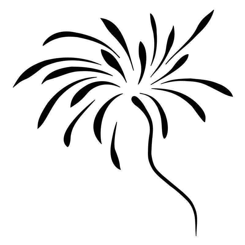 feuerwerk2