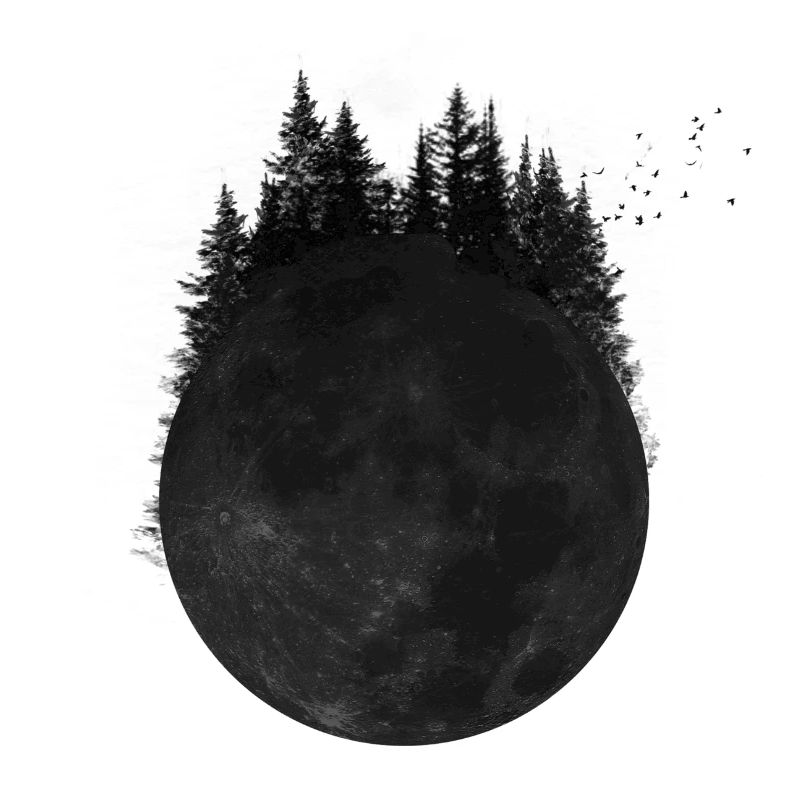 Wald Mond
