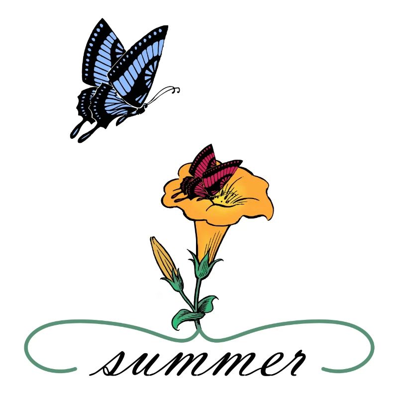 Summer Sommer Schmetterlinge