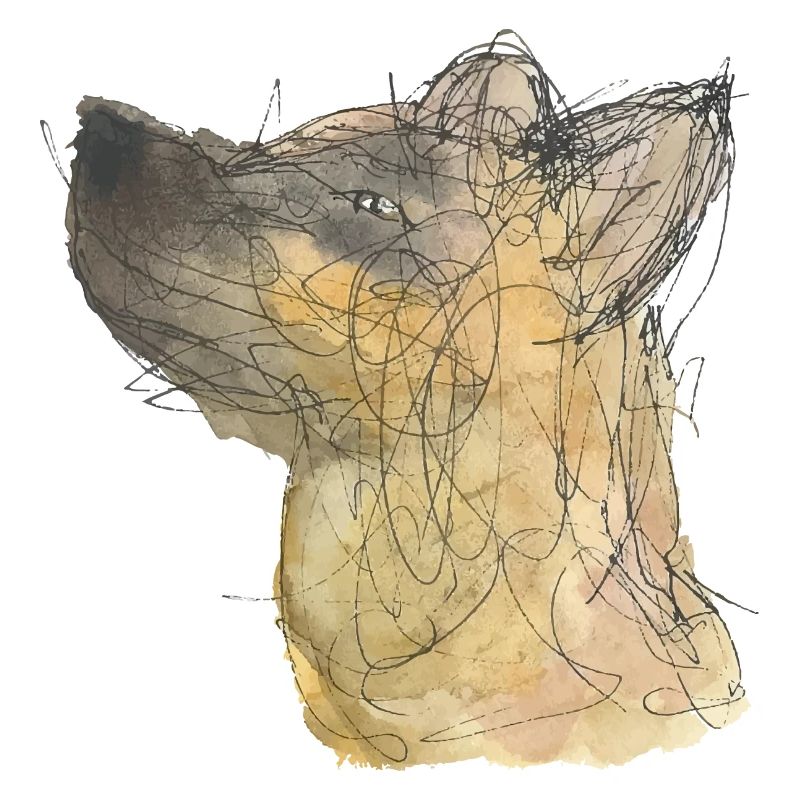 Hund