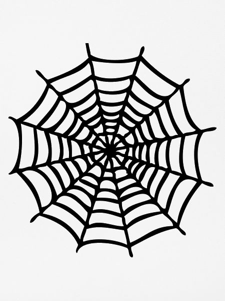 Spinnennetz1