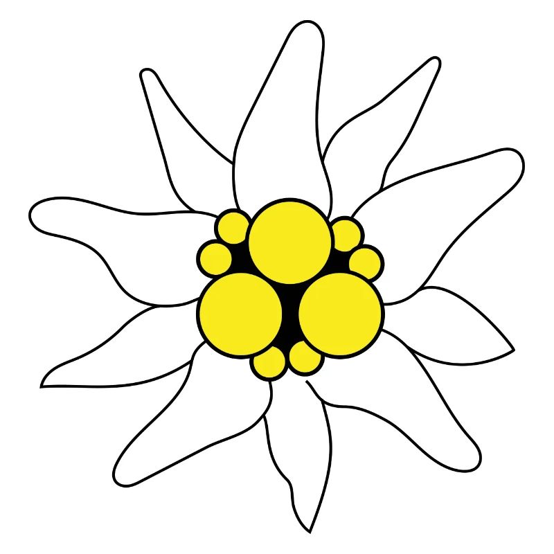 Edelweiss