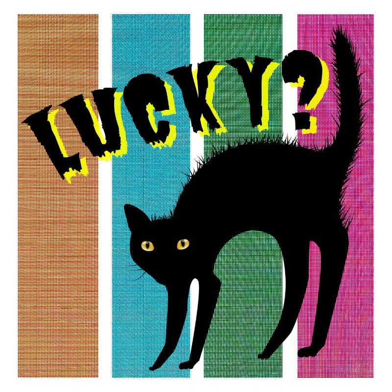 Lucky? cat
