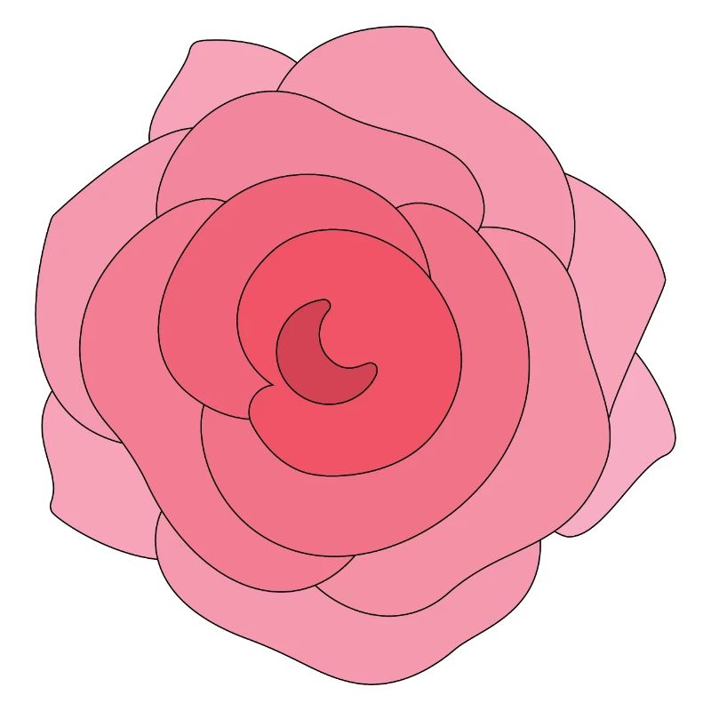 Schöne Rose