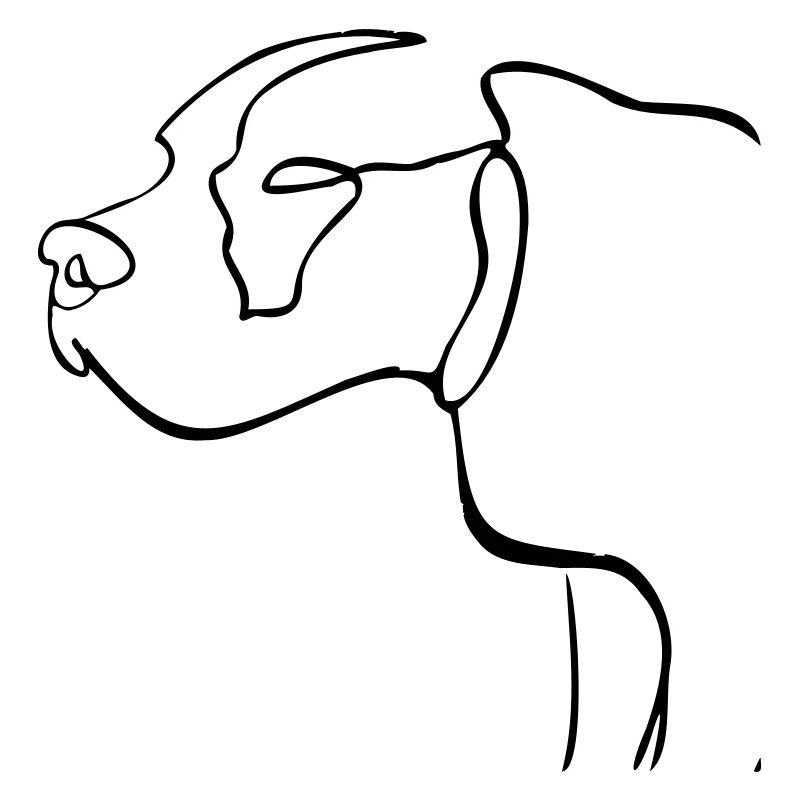 Hund