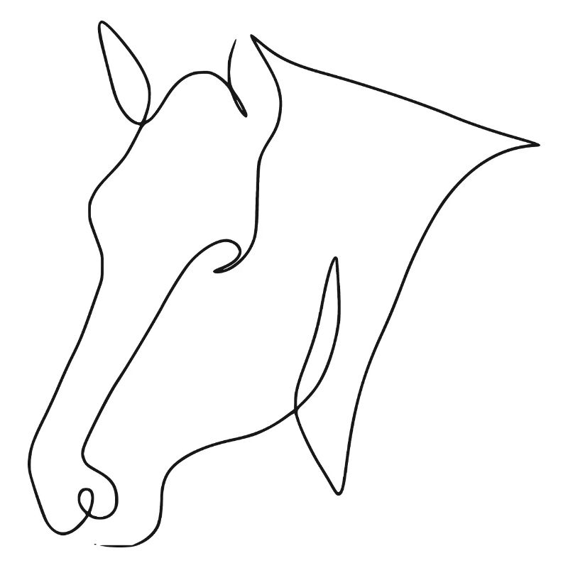 Minimal Pony schwarz