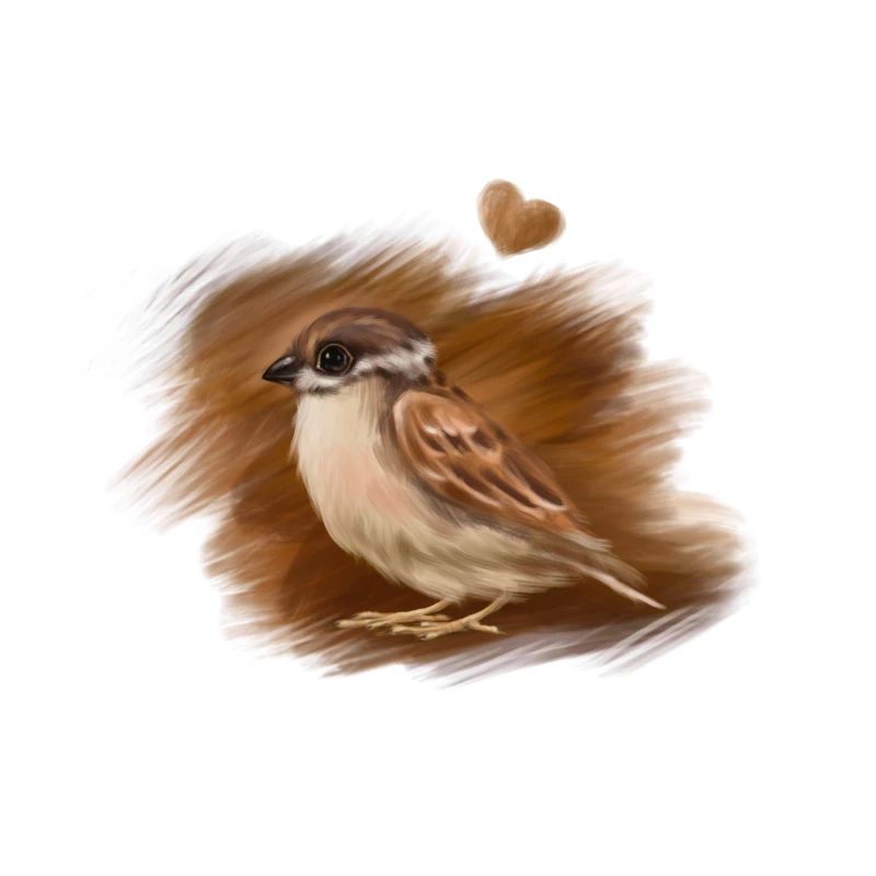 sparrow