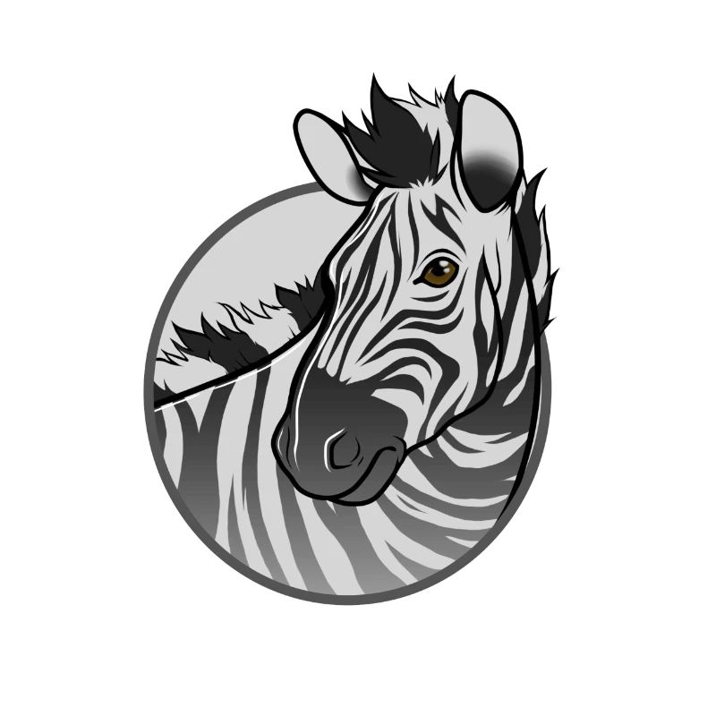 zebra