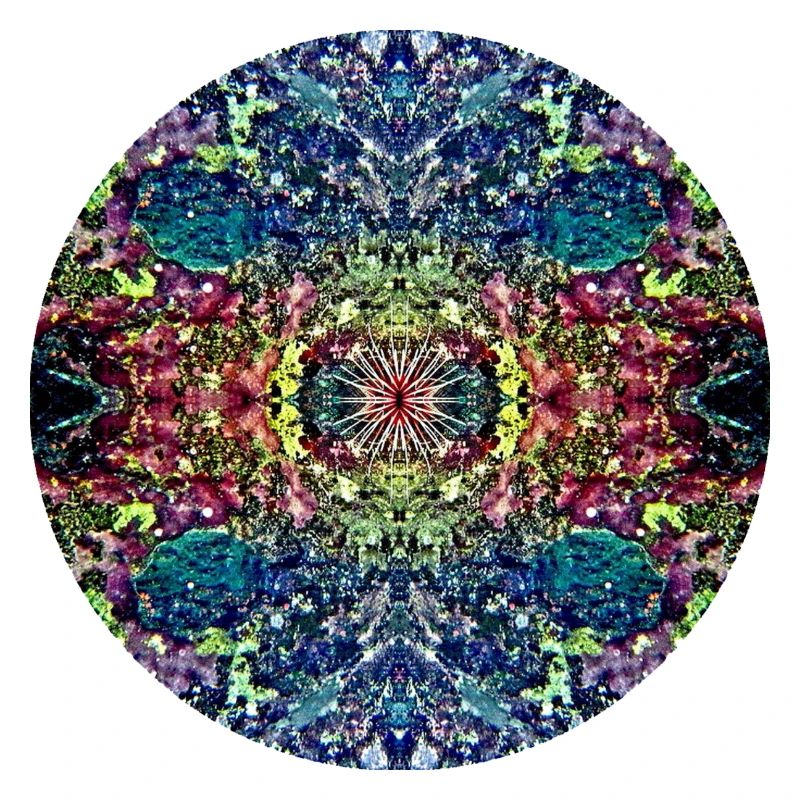 Natur Mandala Unterwasserlandschaft