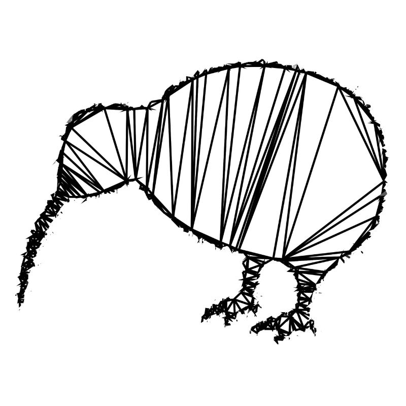 Kiwi - Vogel