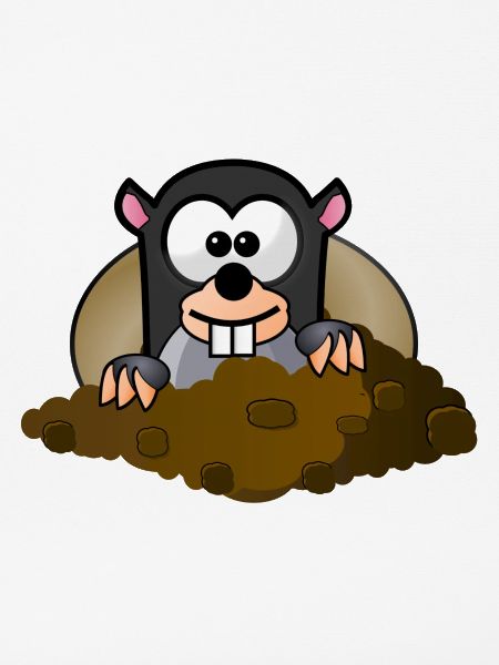 Tier Tiere Maulwurf
